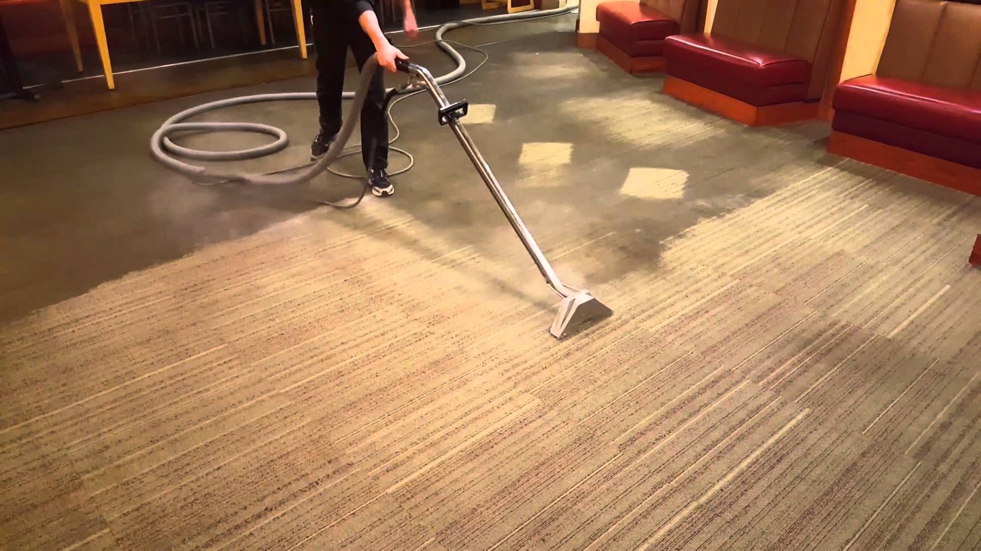 How To Choose The Best Carpet Cleaners In Chula Vista