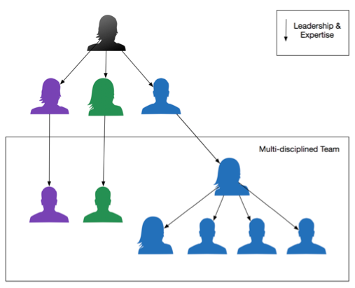 Dysfunctions of Multi-Discipline Teams | by Iain Mitchell | Medium
