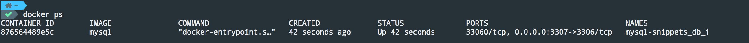 docker run image status 一直是 up 4 minutes