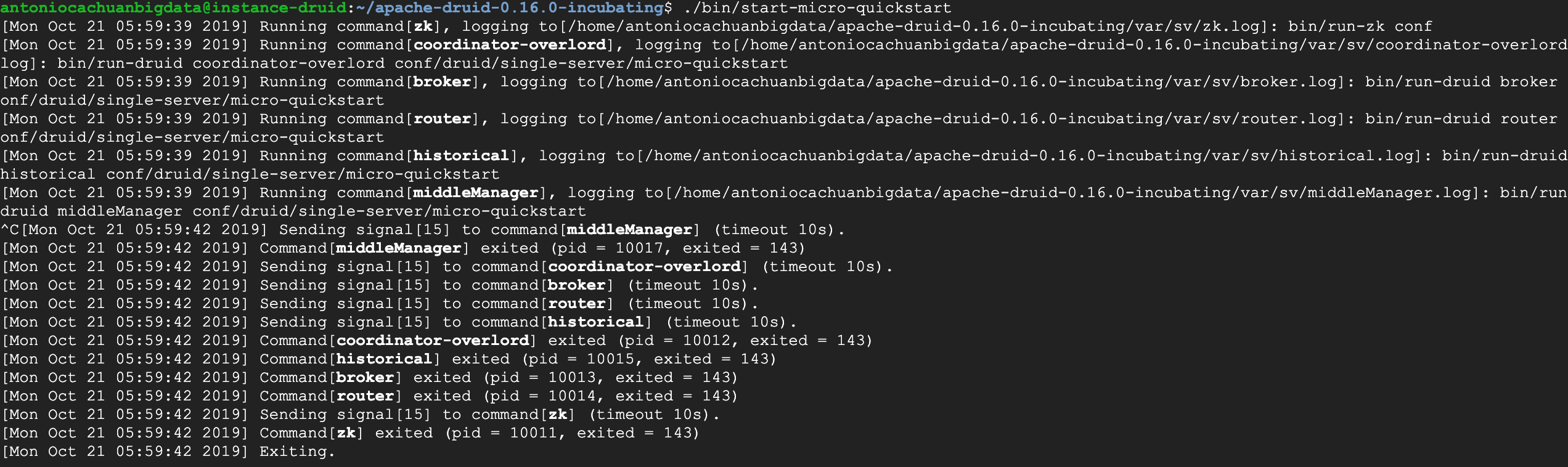 A gentle introduction to Apache Druid in Google Cloud Platform | by ...