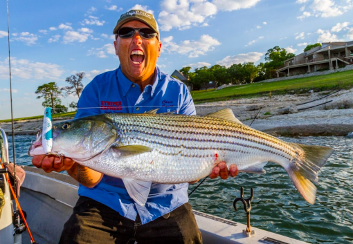 How to Find the Best Lake Texoma Fishing Guide
