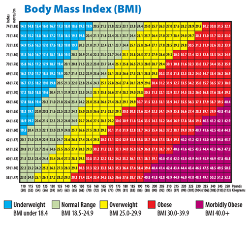 Morbidly Obese Chart