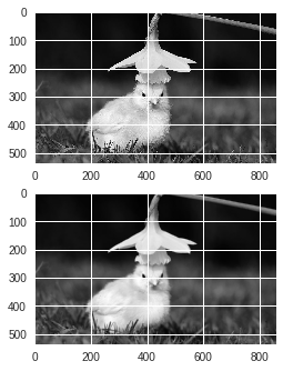 Image Filters with Python and OpenCV | by Nattadet C. | Nattadet C ...