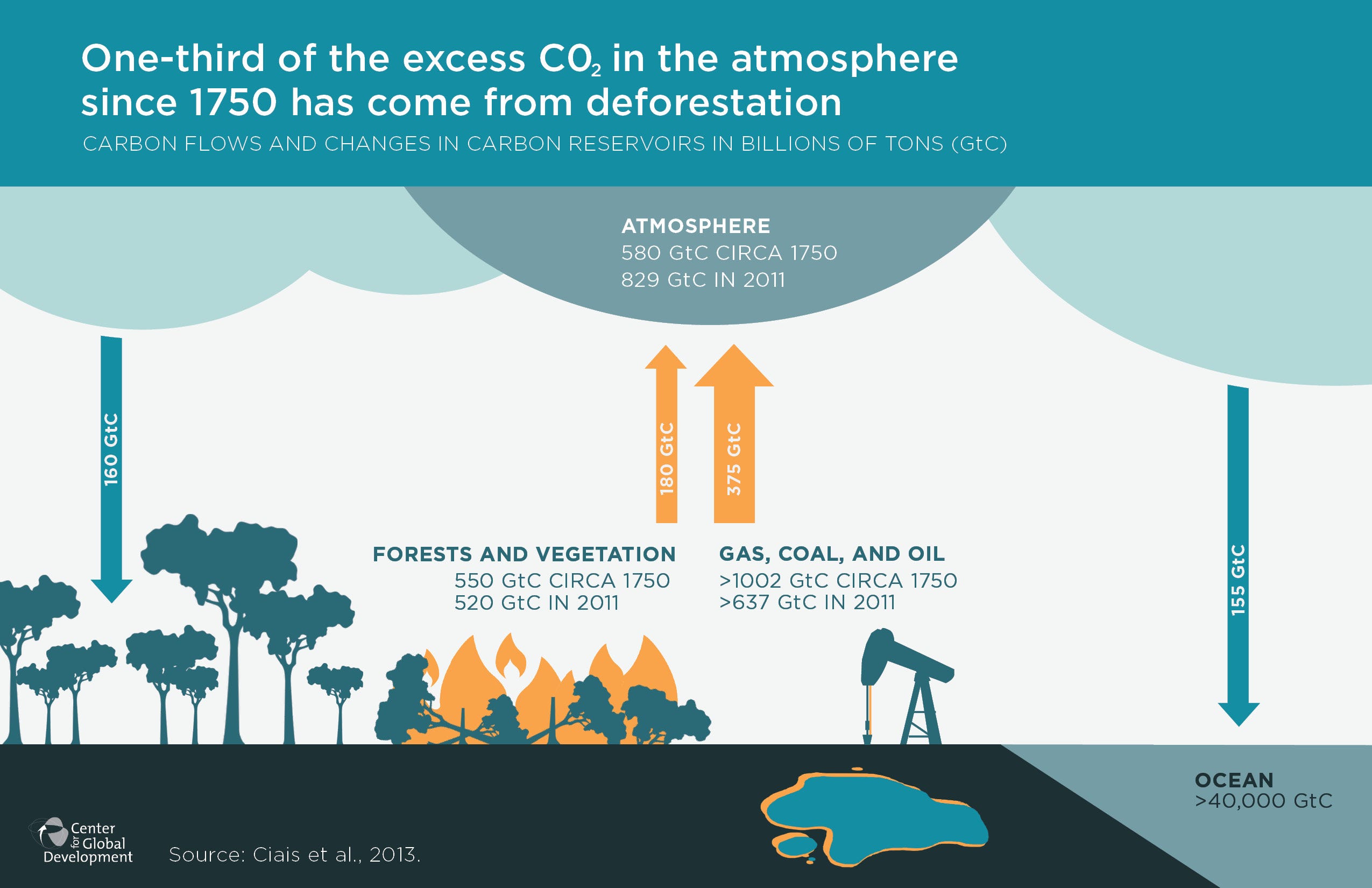 Amazon Rainforest Deforestation devastating the environment and hopes.