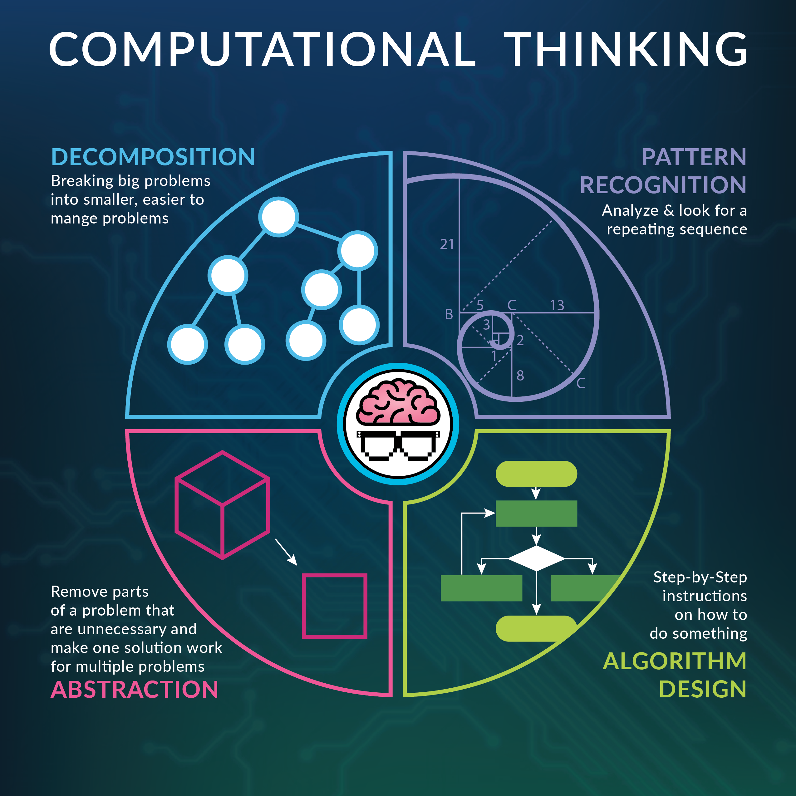 applied computing skills to problem solving