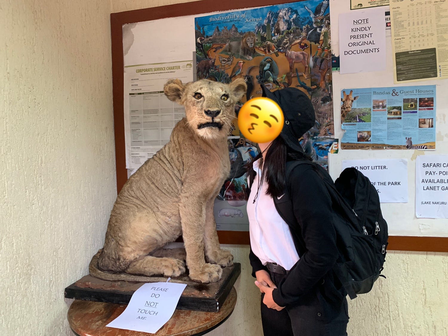 Kenya Day4 今日は 待ちに待ったナイロビ国立公園のサファリに行きました By Chikako Journey To Africa 19 Medium Kenya Day4 今日は 待ちに待ったナイロビ国立公園のサファリに行きました By Chikako Journey To Africa 19 Medium