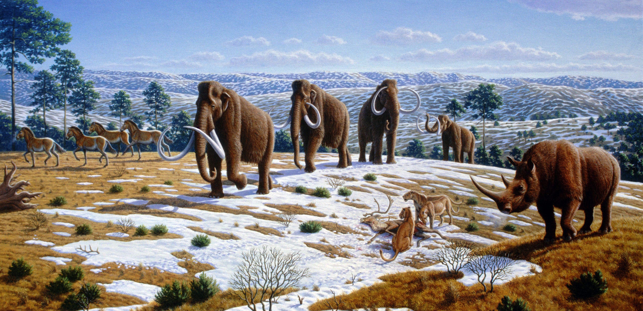 How To Hunt A Mammoth A Problem Of Coordination By Jaeson Booker Medium
