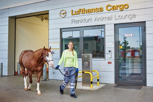 lufthansa cargo pets