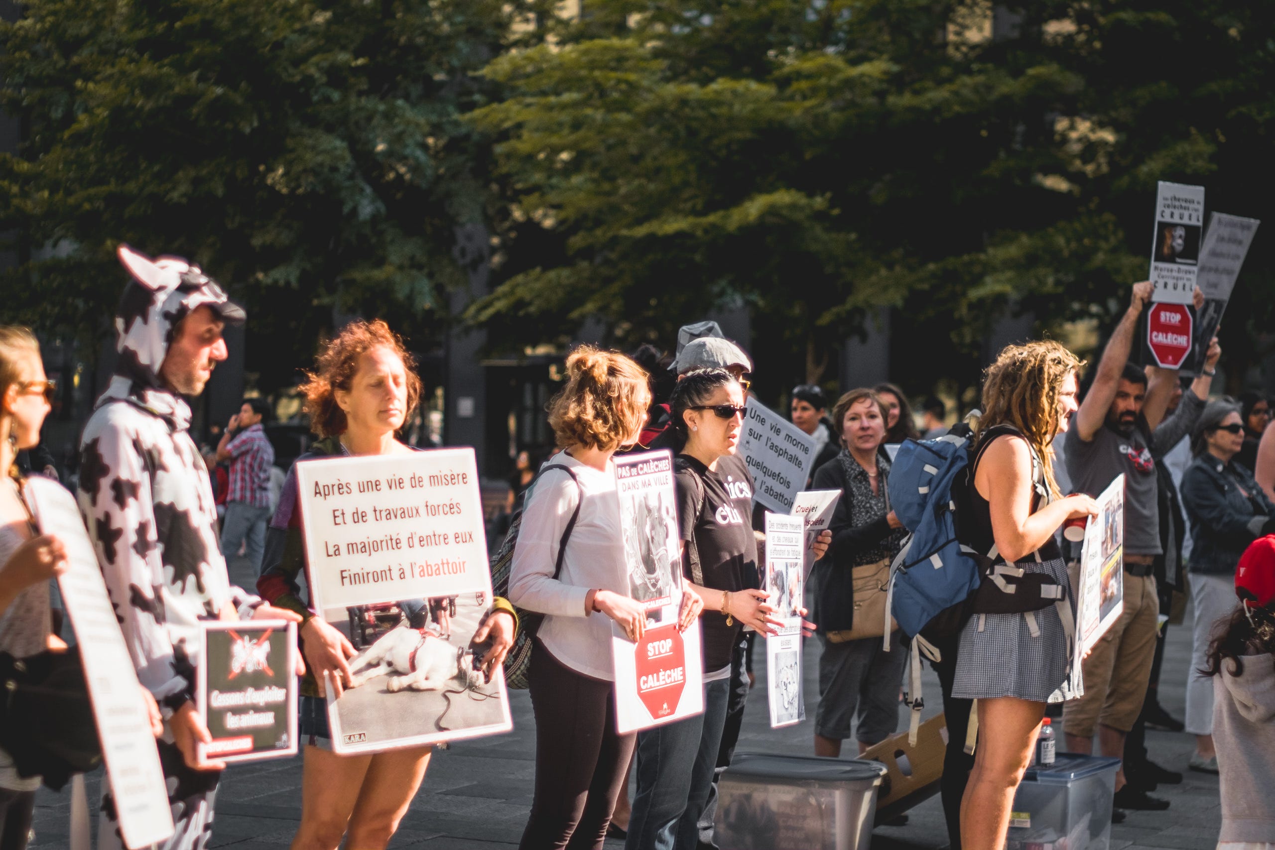 The Problem With Social Media Activism By Rohan Sinha The Startup Medium