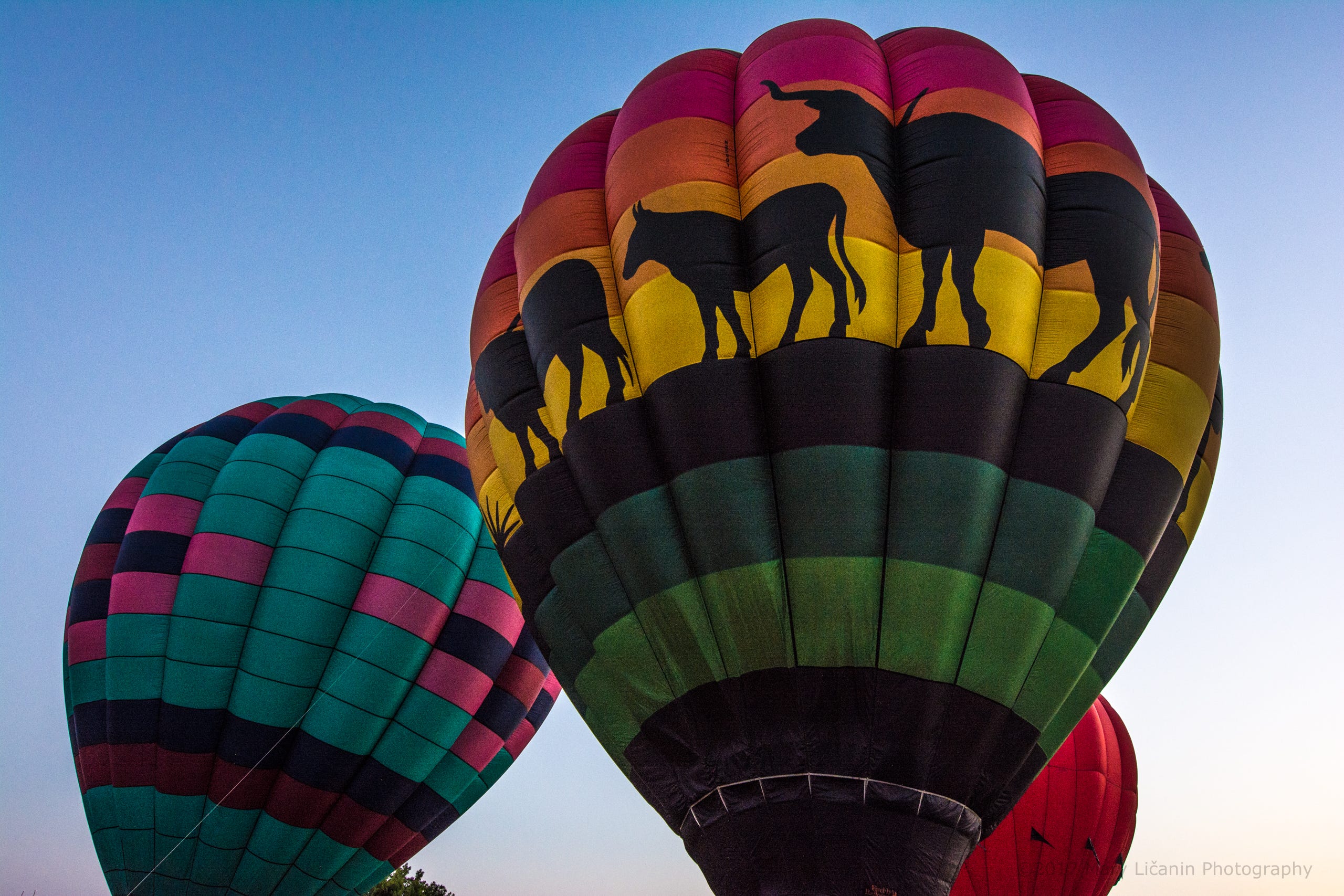 Potawatomi Balloon Fest, Shawnee Oklahoma by Mary Ličanin Medium