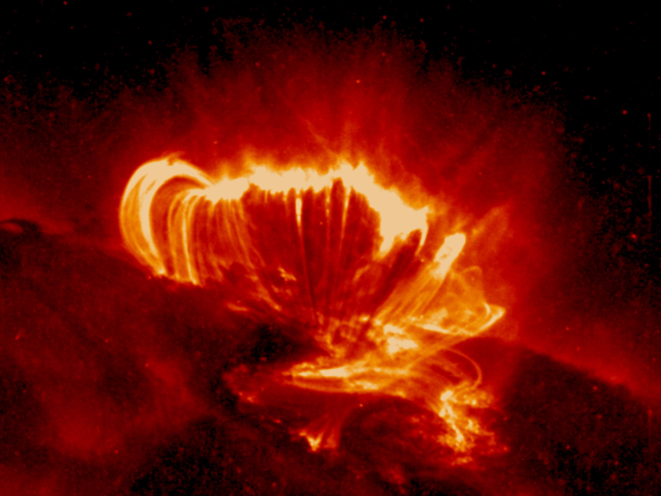 Gli spettacolari anelli coronali ripresi dal satellite TRACE | by Michele  Diodati | Spazio Tempo Luce Energia