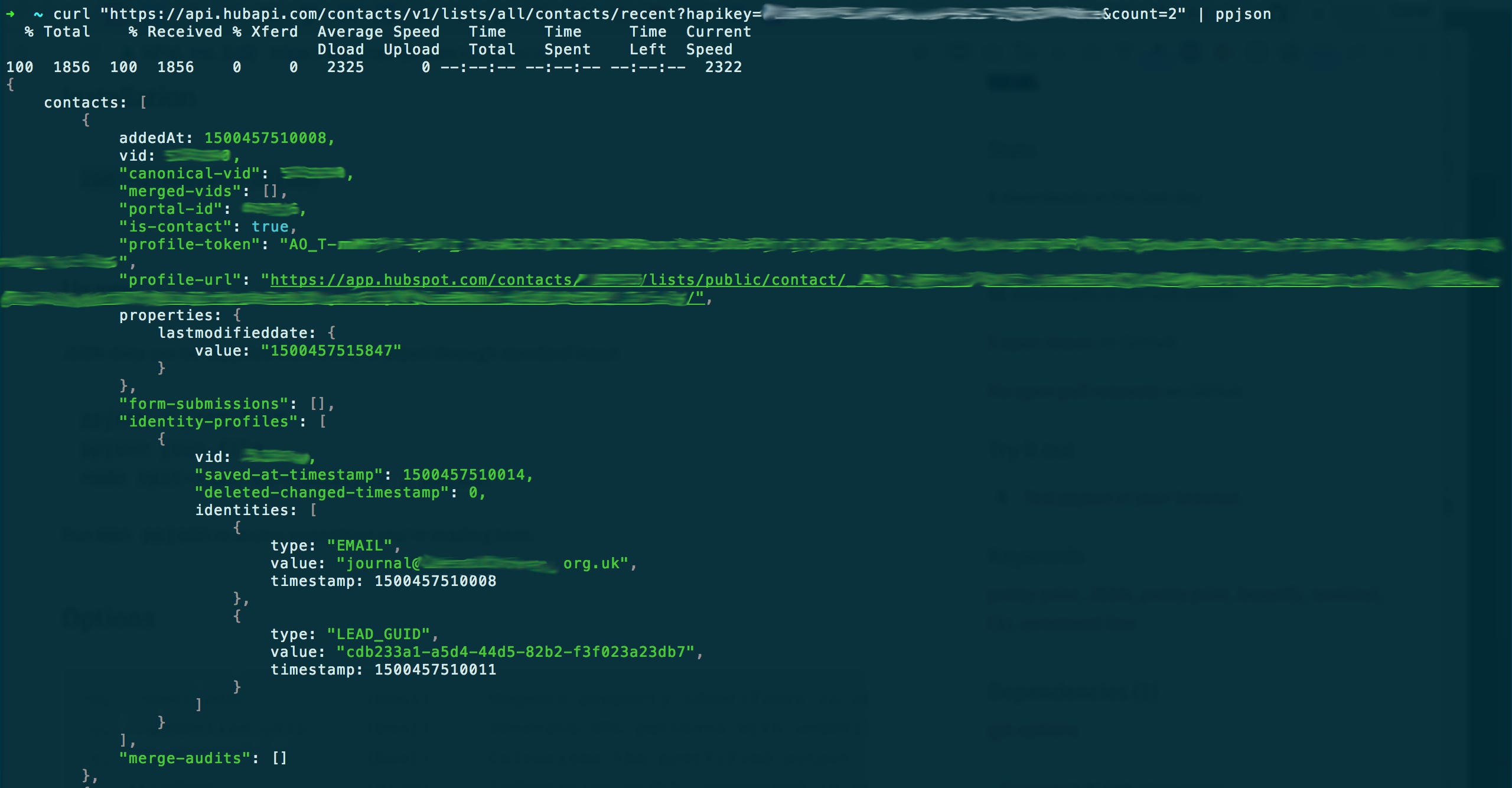 How to integrate Hubspot with anything — and build your own tools by