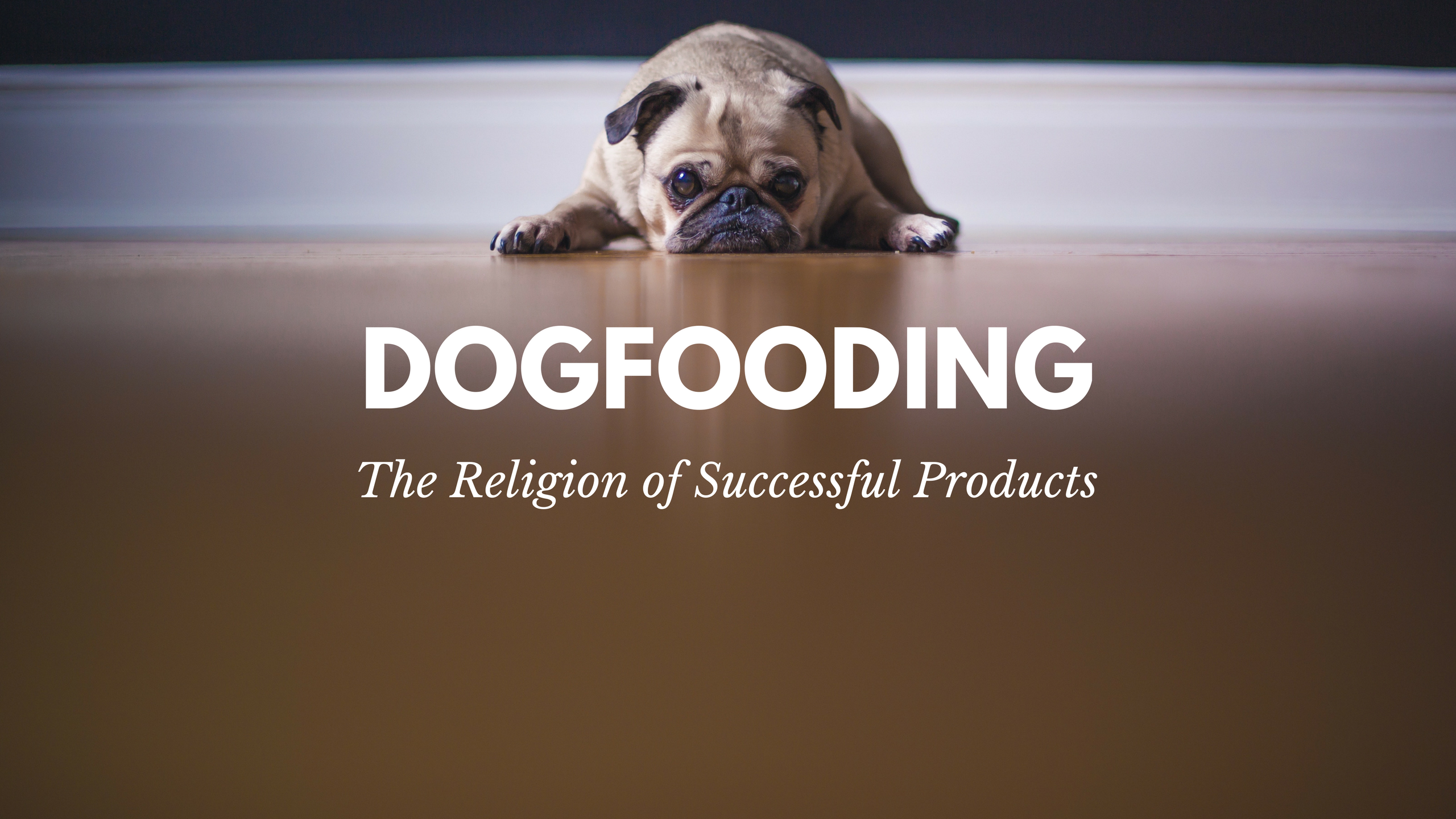 what is dogfooding