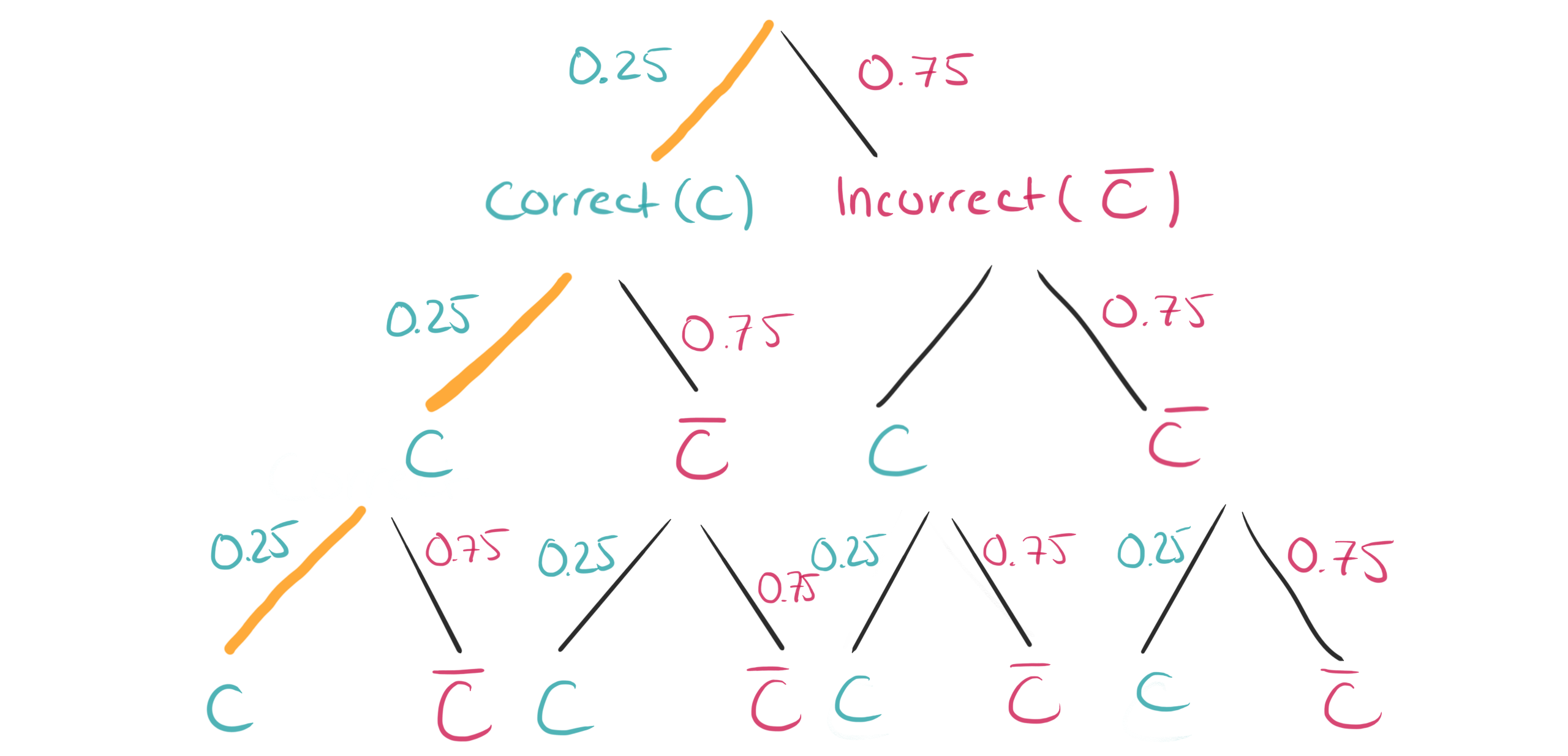 The Binomial Distribution Explained by Maike Elisa Cantor’s