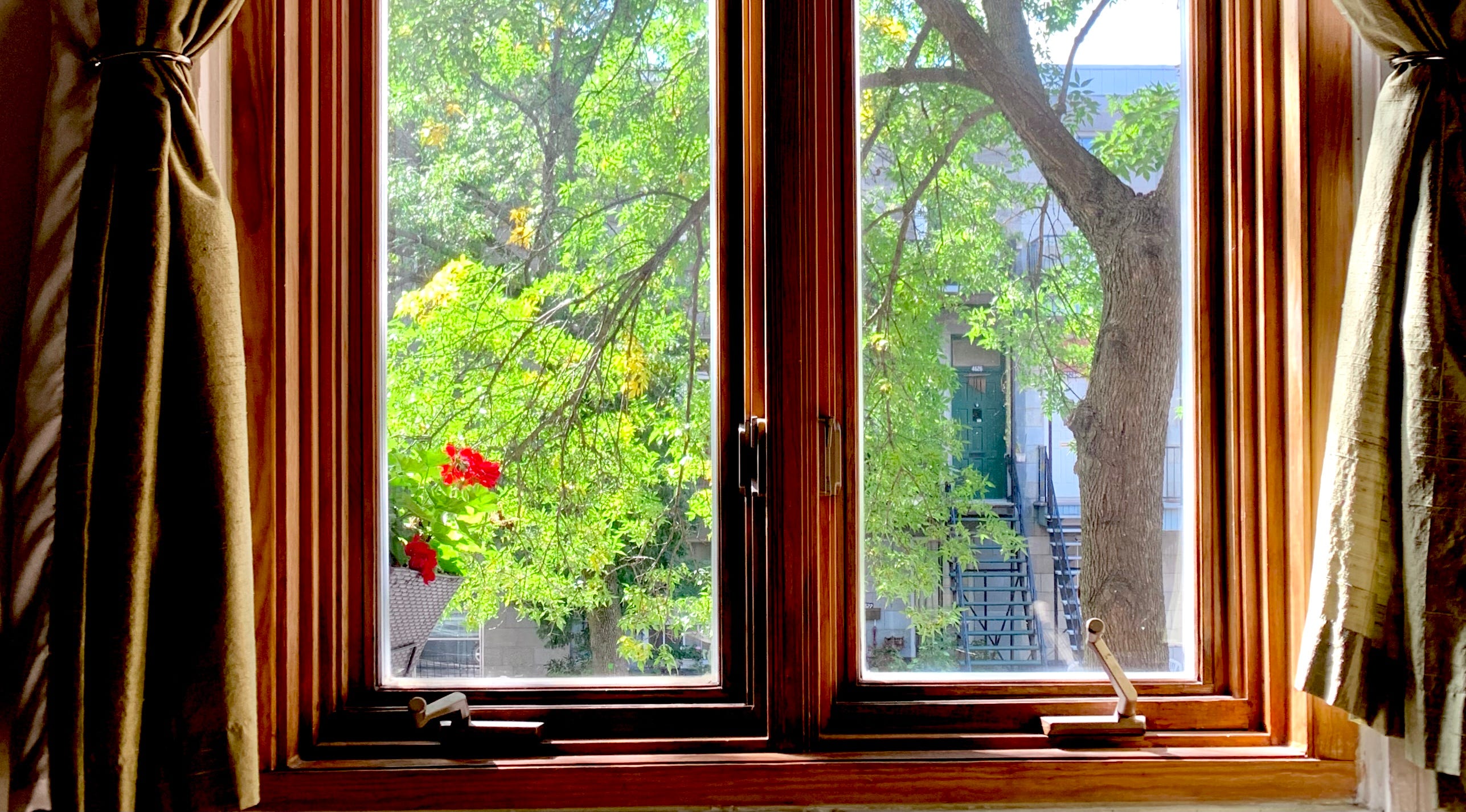 looking through the window to the trees outside