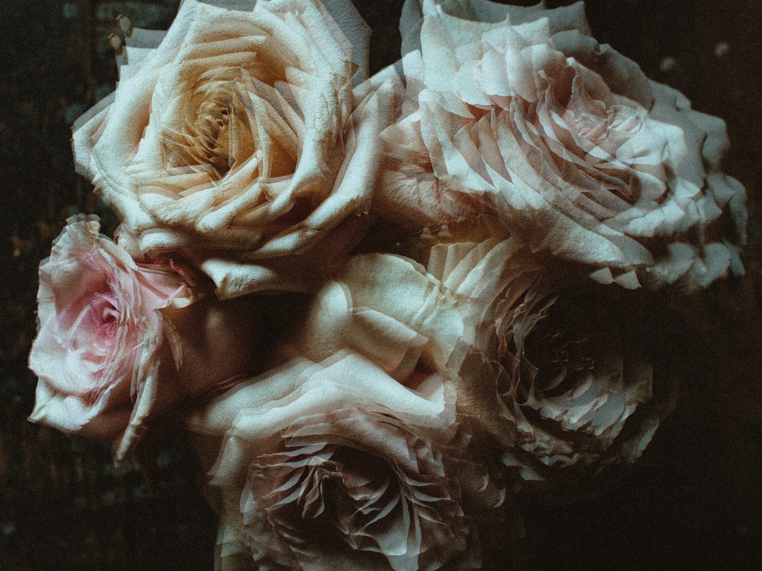 If You Want to Get to Know Me. By Patricia Trimble by Patricia Trimble Medium