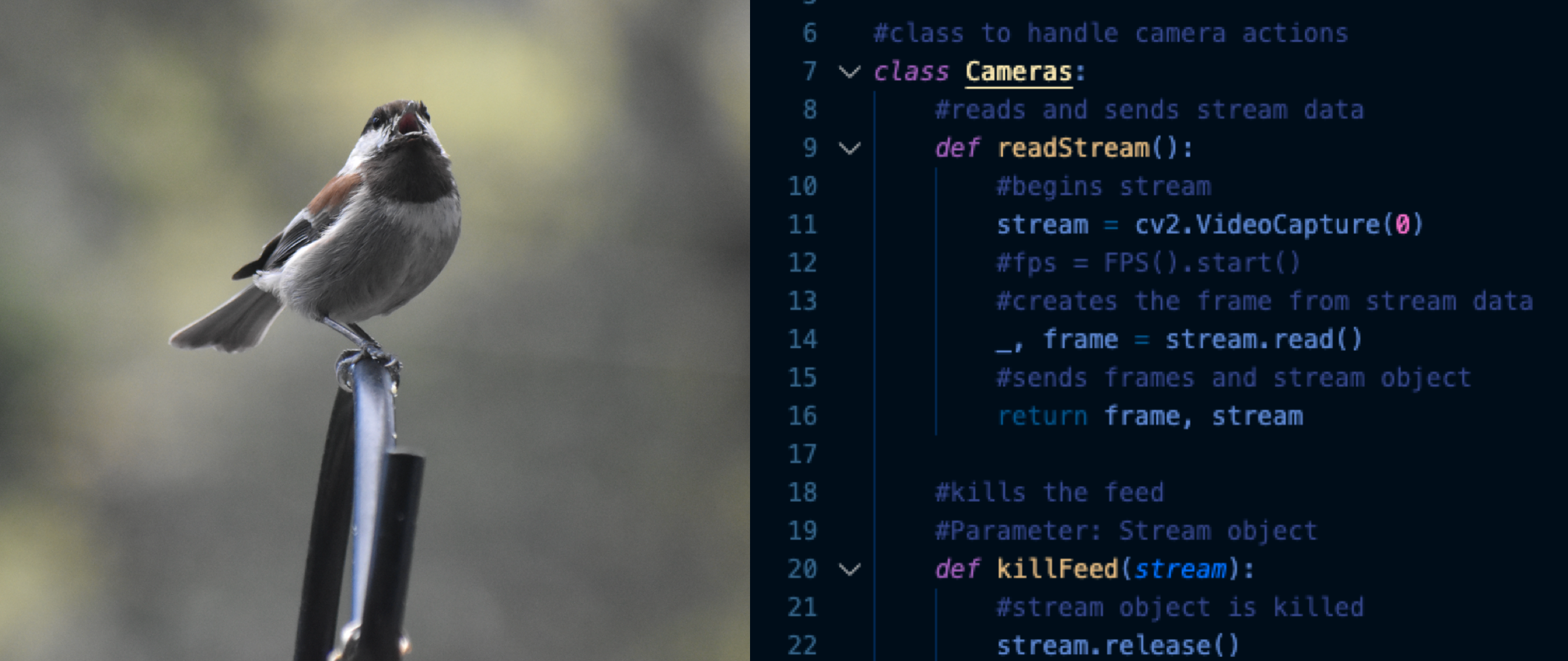 Opencv Basic And Useful Tools Video Feeds Python By Arthur K Jakobsson Analytics Vidhya Medium