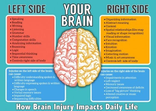 Our Brains Have 2 Hemispheres, a Left Side and a Right Side. Which Side is Your Dominant Side? | by George White | Medium