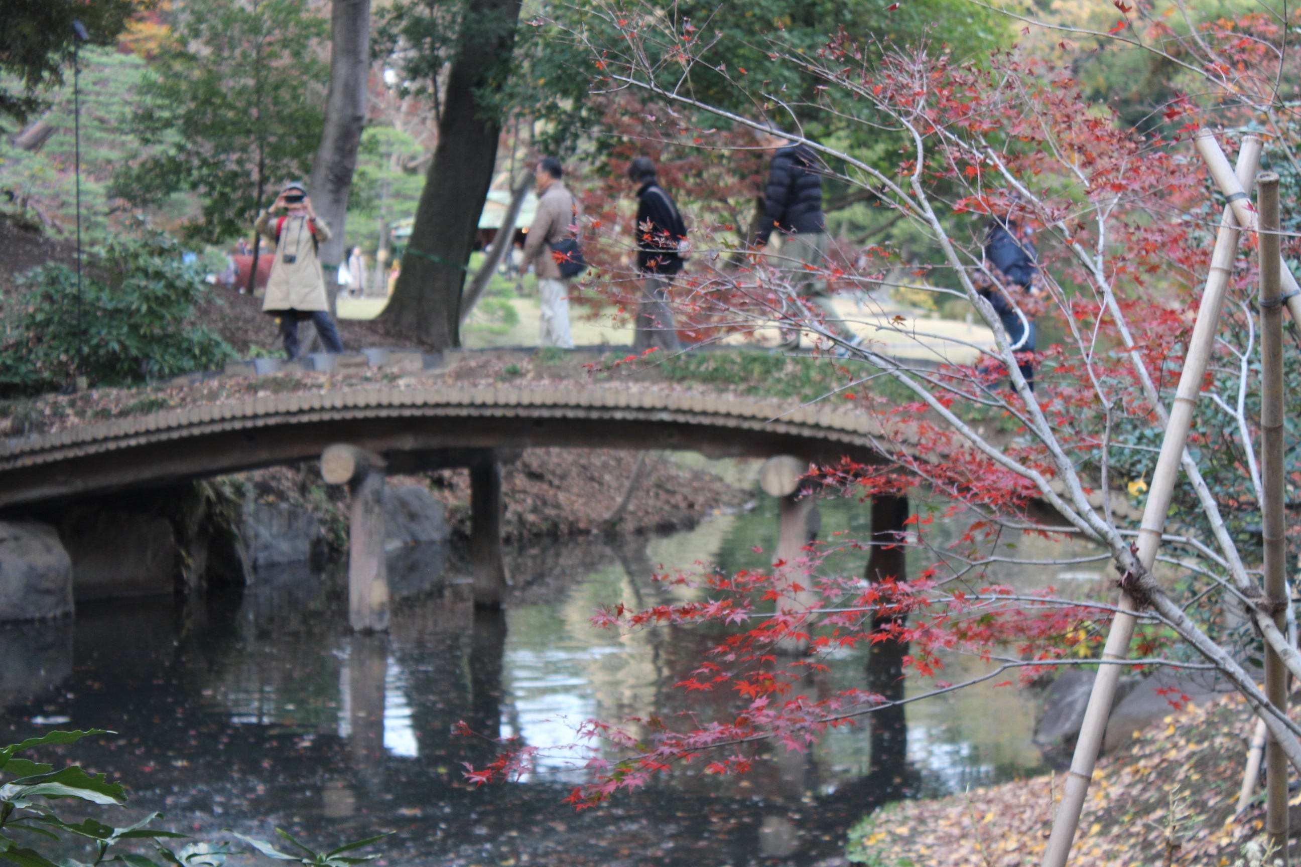 東京新生 六義園 六義園 りくぎえん By 東京新生 Medium 東京新生 六義園 六義園 りくぎえん By 東京新生 Medium