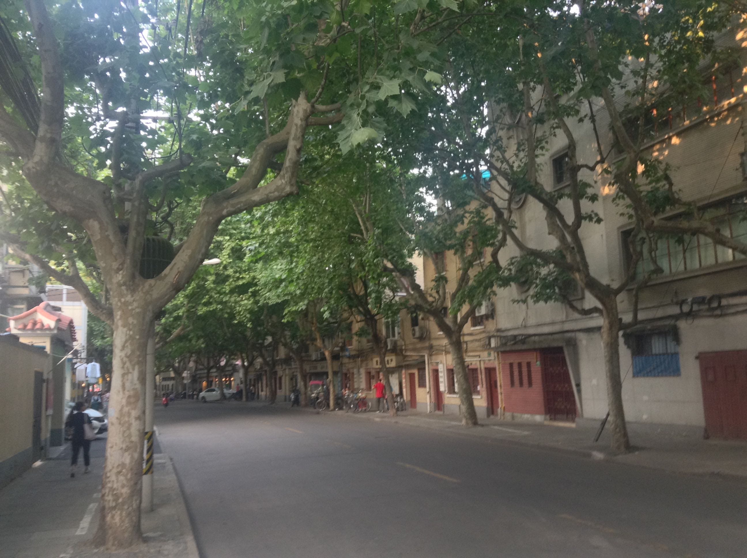 Walk around Shanghai: Yongjia road in the summer | by Gregory Terzian ...