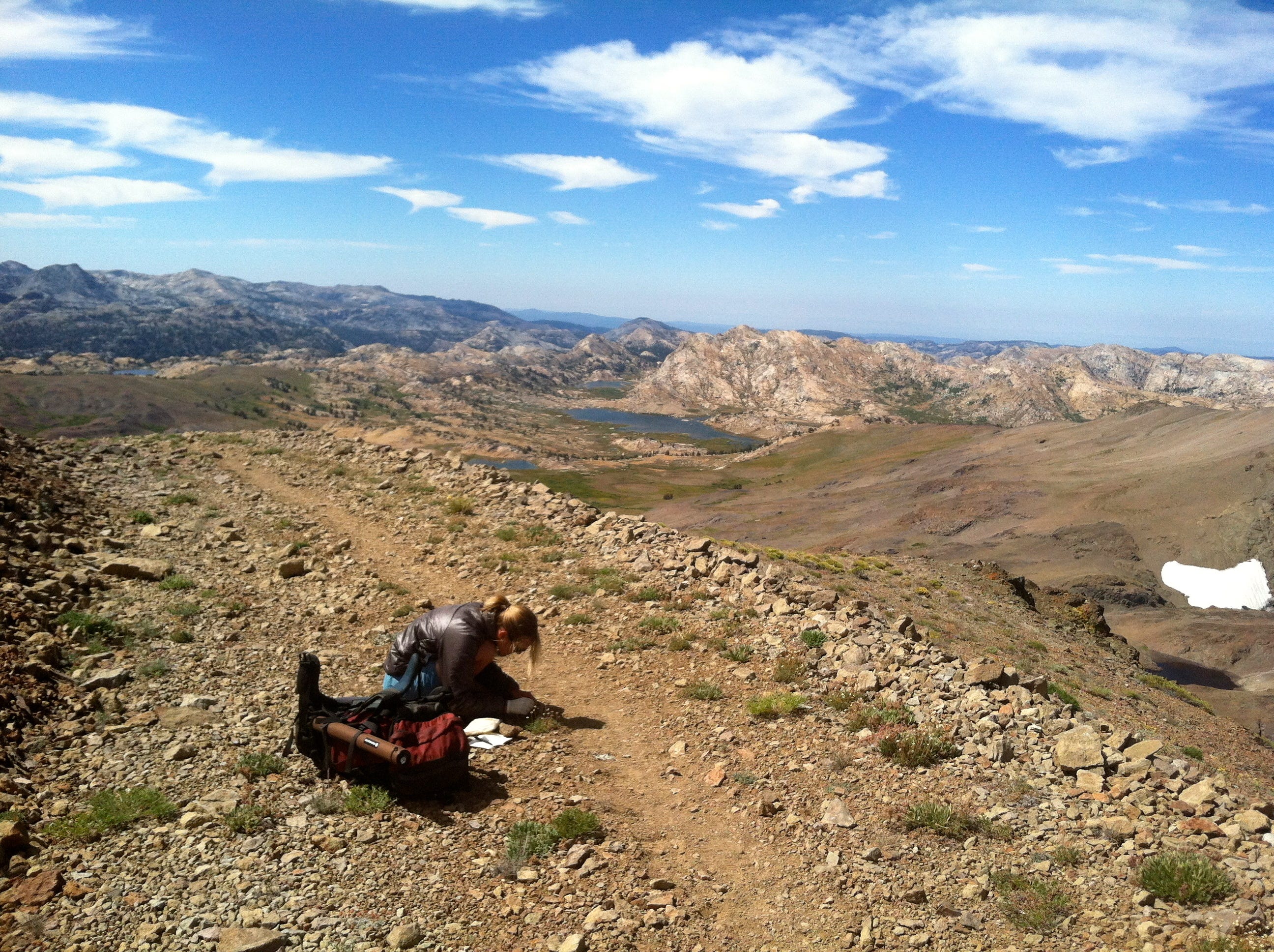 Cait examines scat on top of a mountain