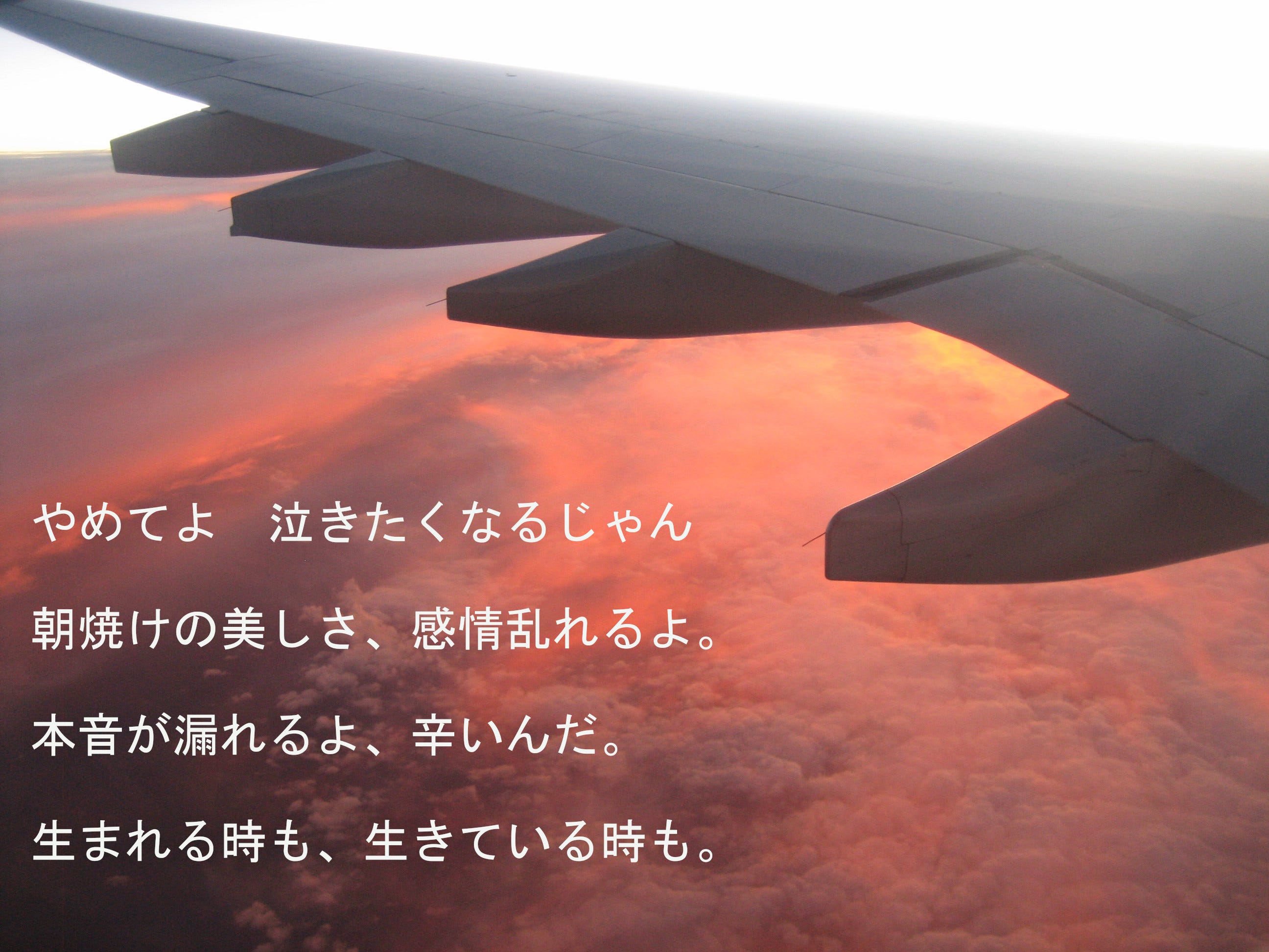 やめてよ 泣きたくなるじゃん 日本語で読む Medium やめてよ 泣きたくなるじゃん 日本語で読む Medium