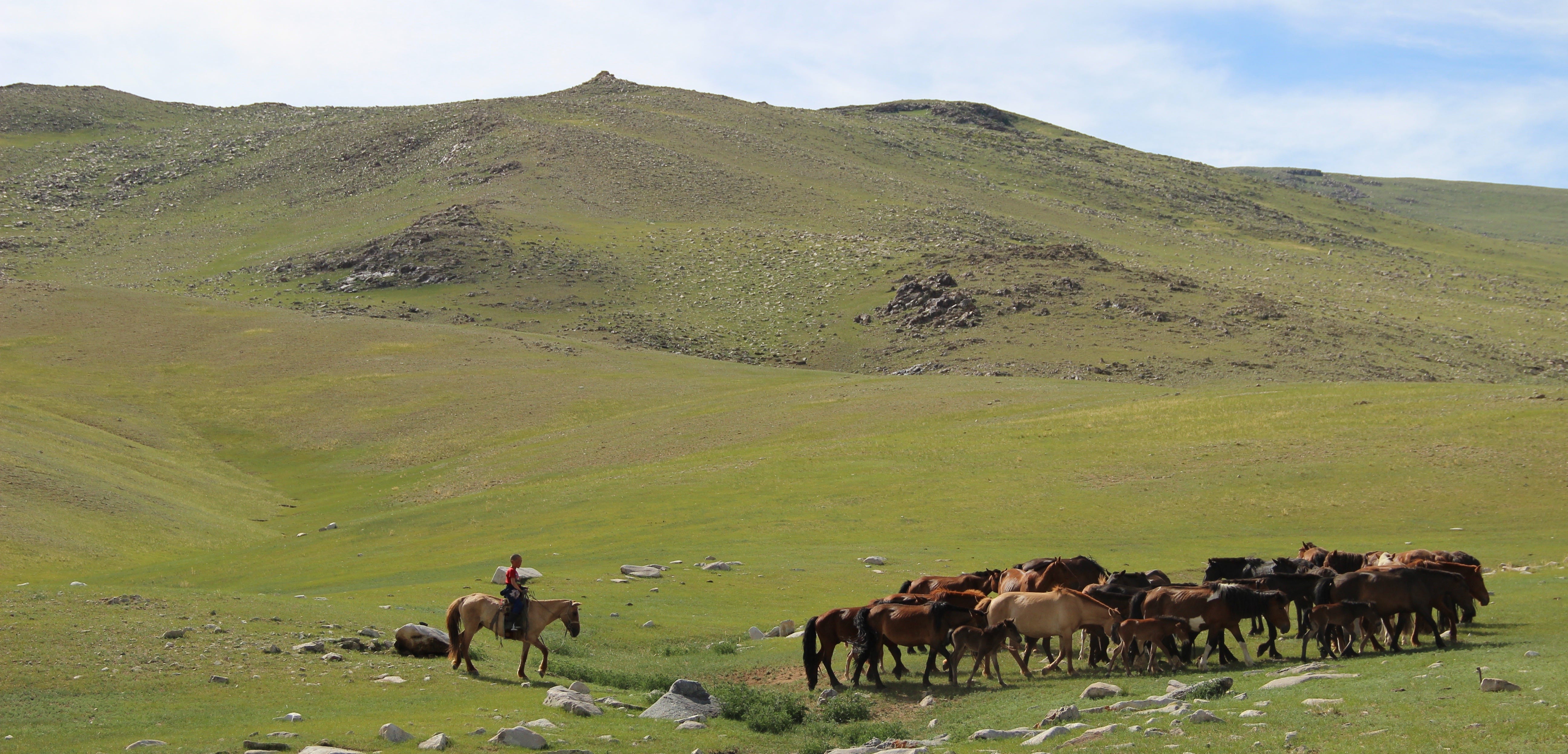 Mongolian steppes (Photo: medium.com/@LucyPage)