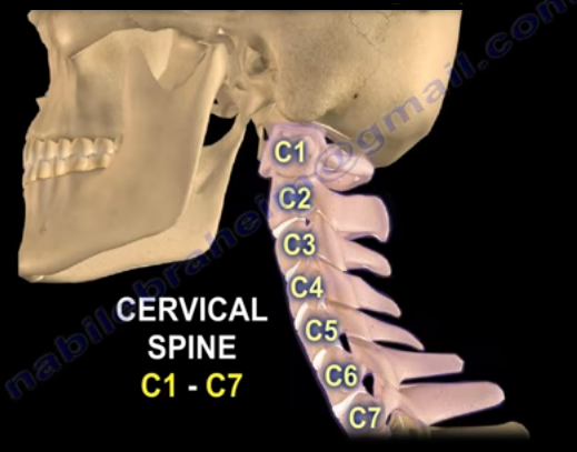 Cervical Spine Instability Flexion Extension X Rays
