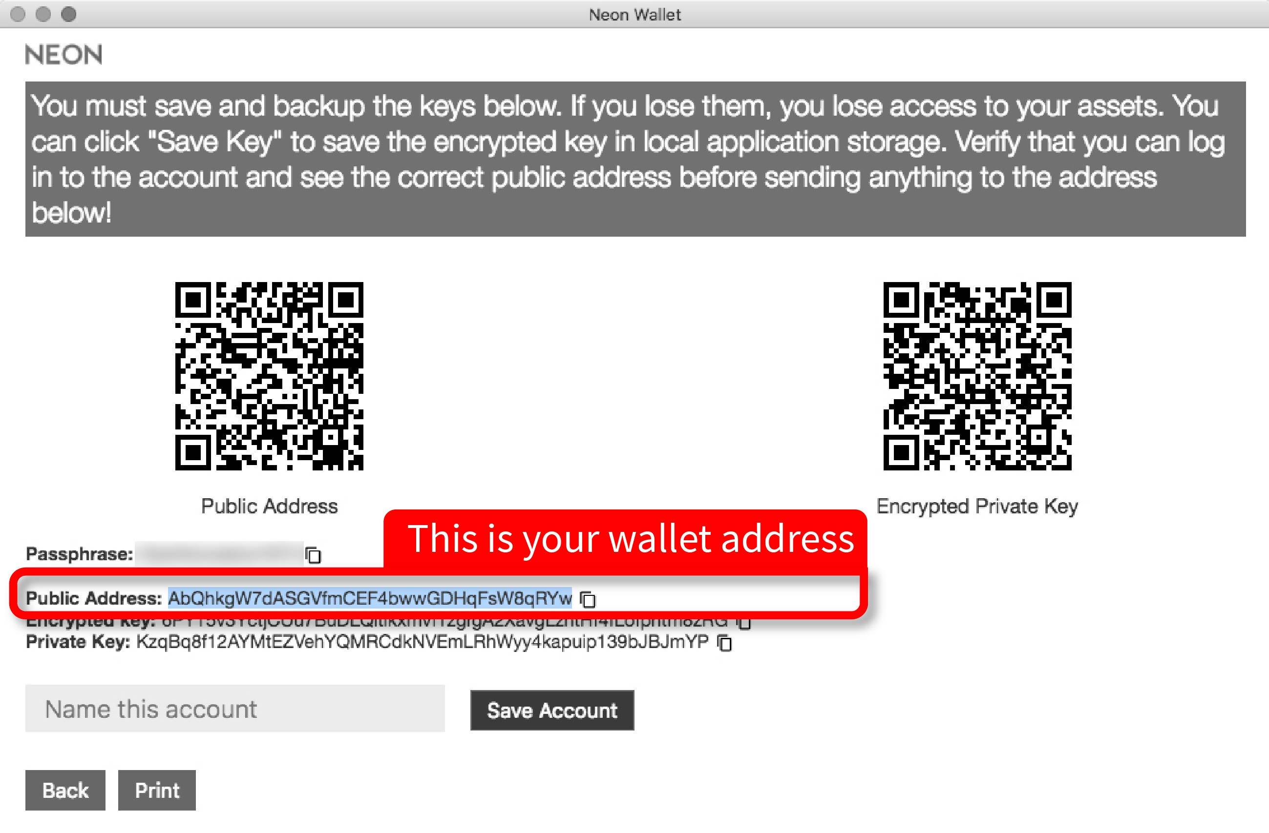 How To Set Up A Crypto Wallet? / How To Set Up a Passive ...