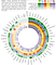 Global citizenship 53 countries