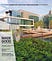 Architecture Magazines Online With Landscape Design Magazines Landscape Edging Ideas