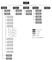 Sitemap illustration