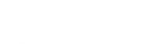 Yuk Kenalan Dengan Catapa Pernah Dengar Catapa Belum Wah By Hanna Silitonga Catapa Medium