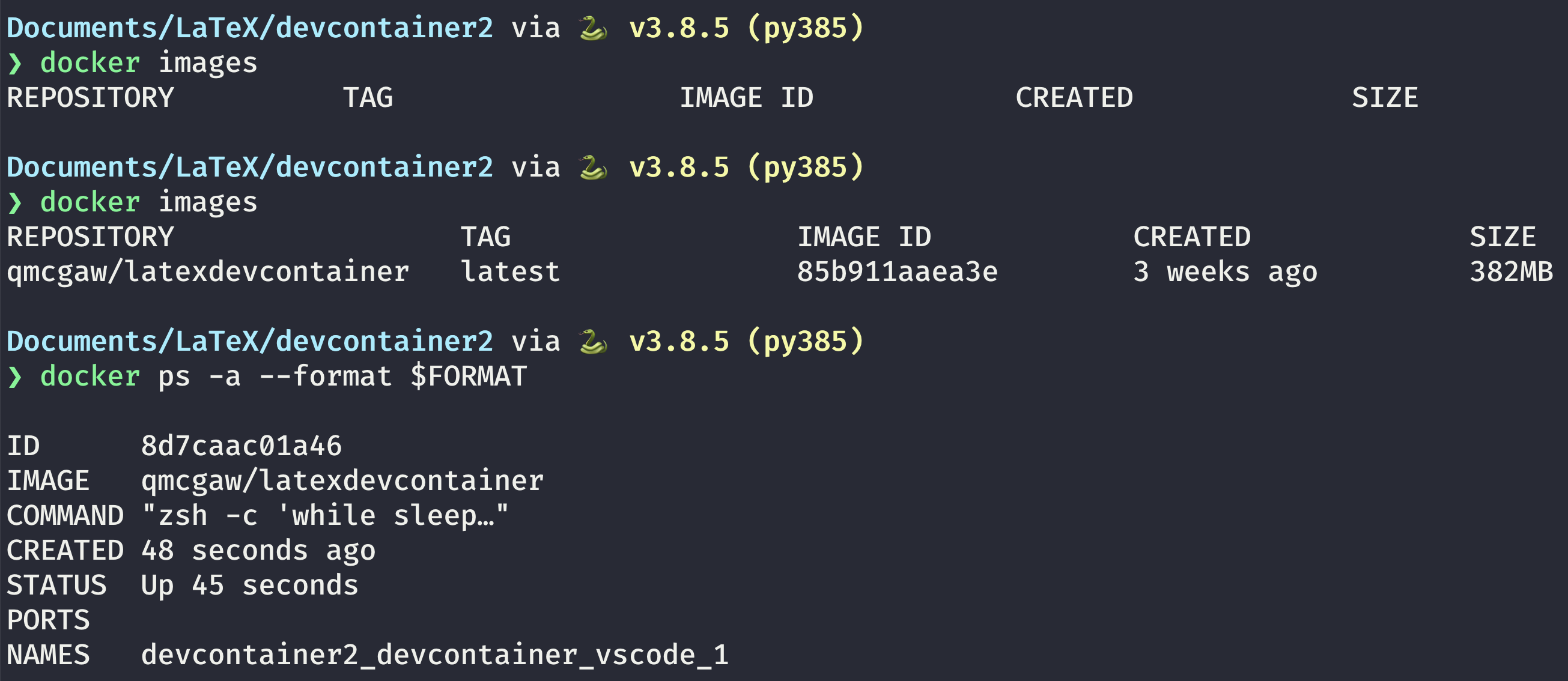 Latex Environment Telegraph