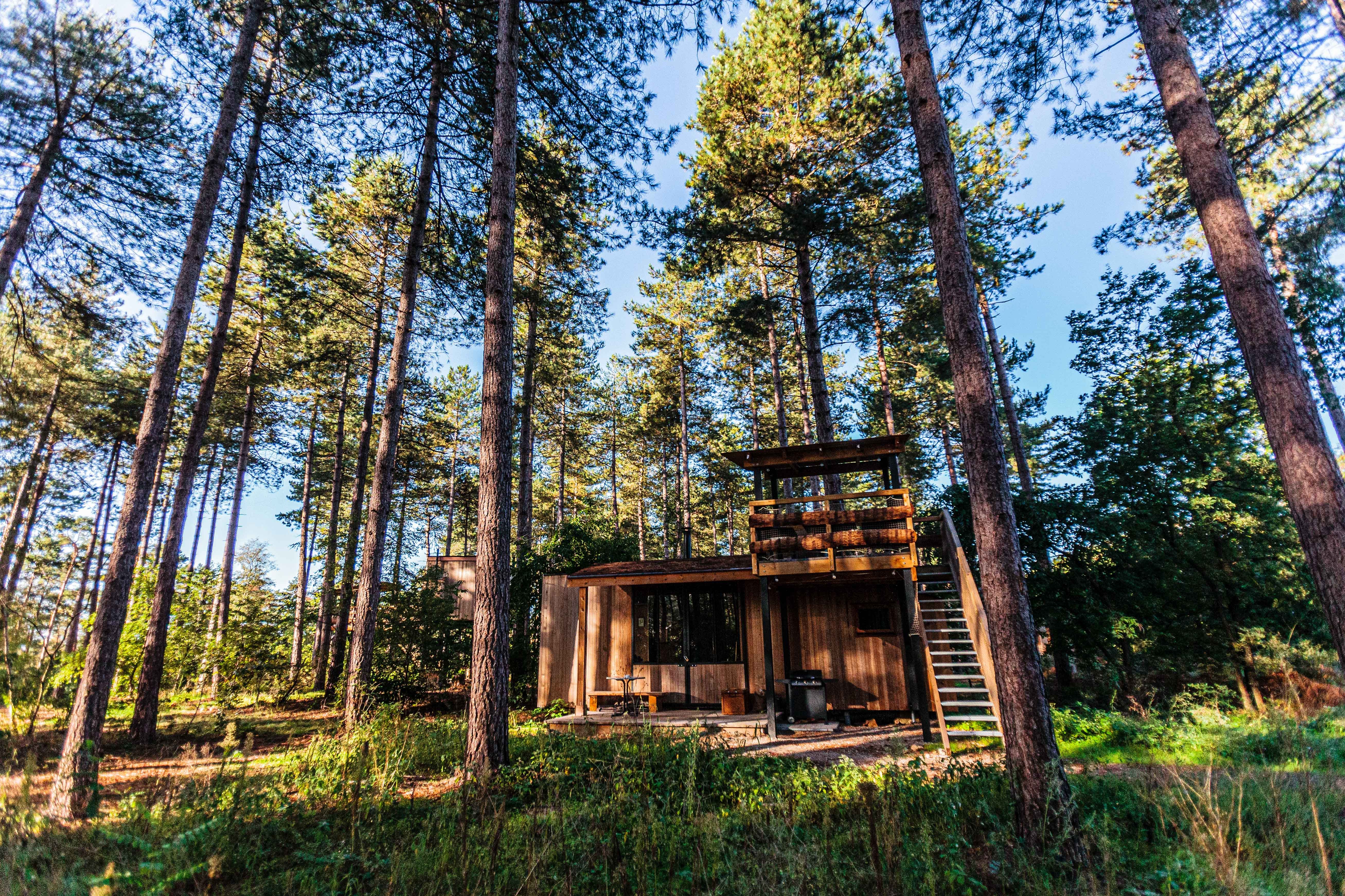 Sind ego stewardesse A Cabin in the Woods. Brita gets close to nature. | by S M Jonaro |  Silvering Years | Medium