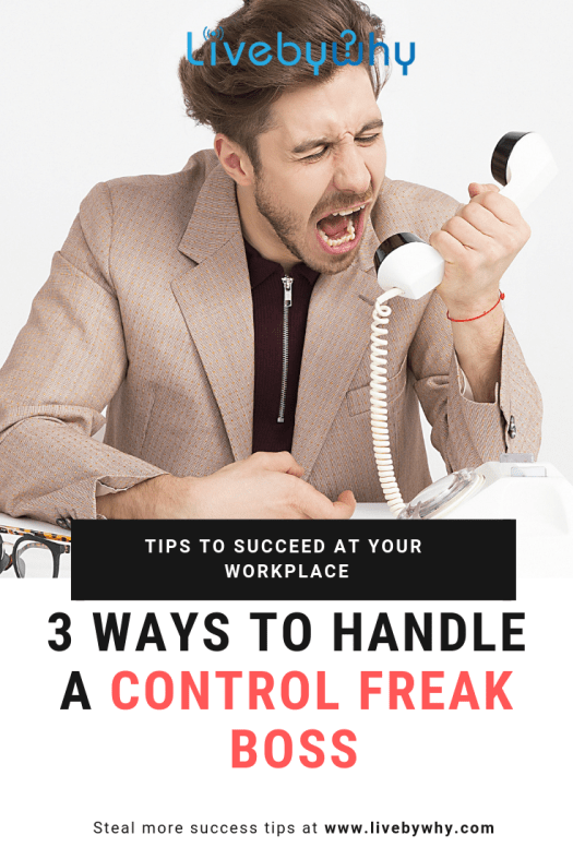 Control Freak Boss: 5 Signs You're Working for One. | by Live by Why |  Medium