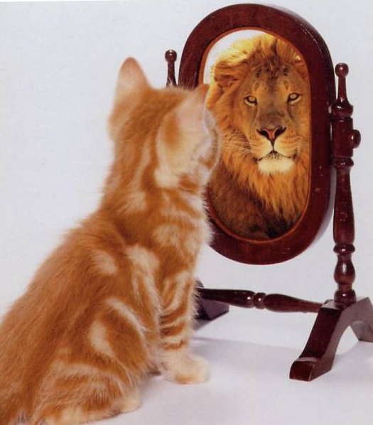 When Cats Look at Themselves in a Mirror they See Lions  by 