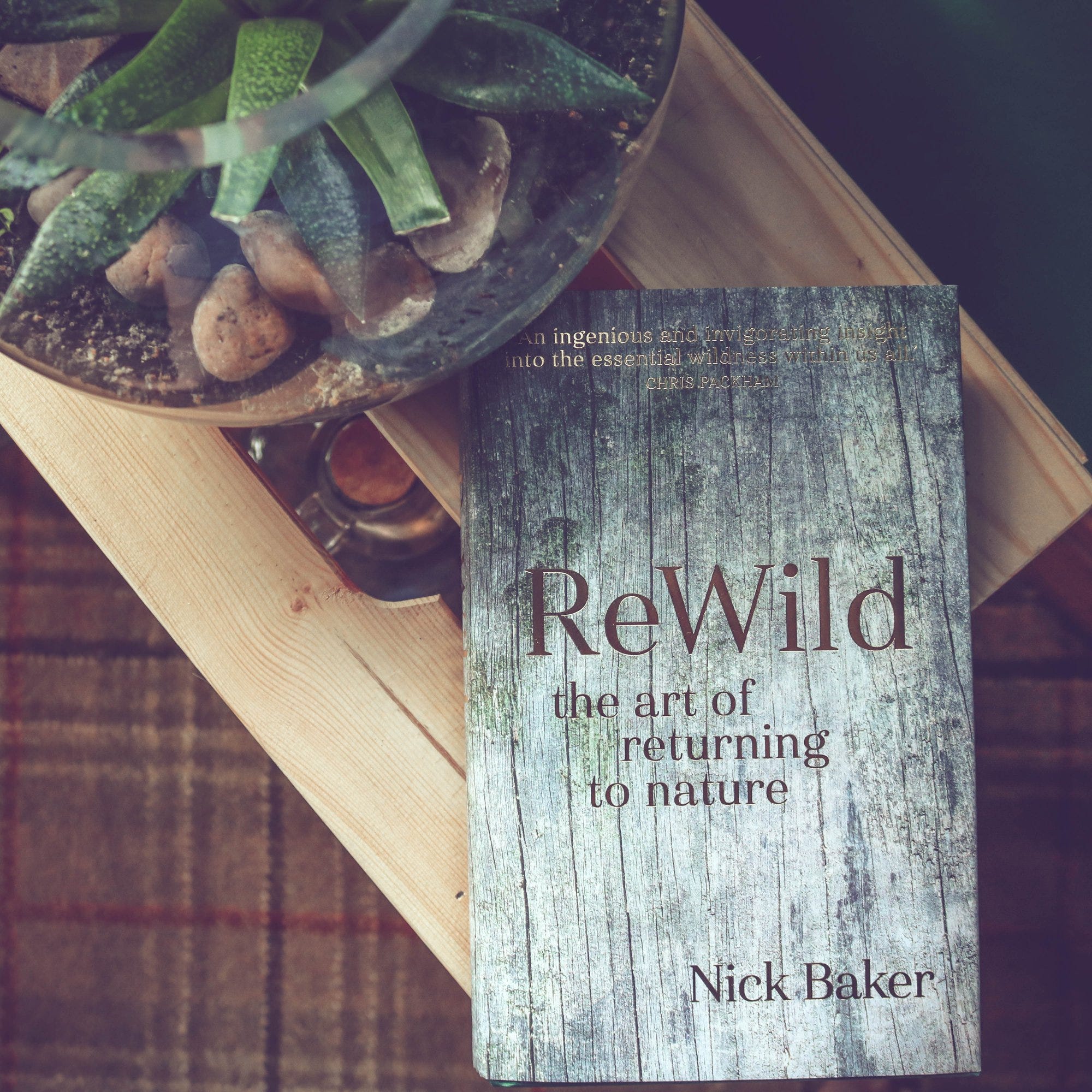 Rewild The Art Of Returning To Nature A Review Slowbox - 
