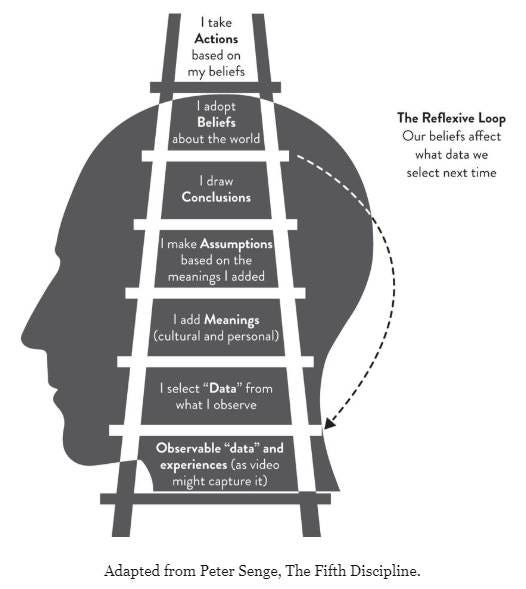 agile ladder