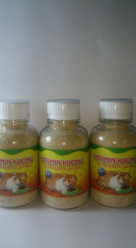 Wa 081 336 080 417 Telkomsel Obat Penambah Nafsu Makan Kucing