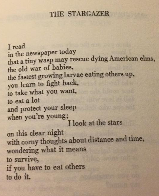 What It Means To Survive If You Have To Eat Others To Do It By C J Eggett Etch To Their Own Medium