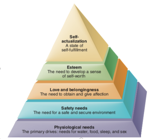 abraham maslow theory of motivation