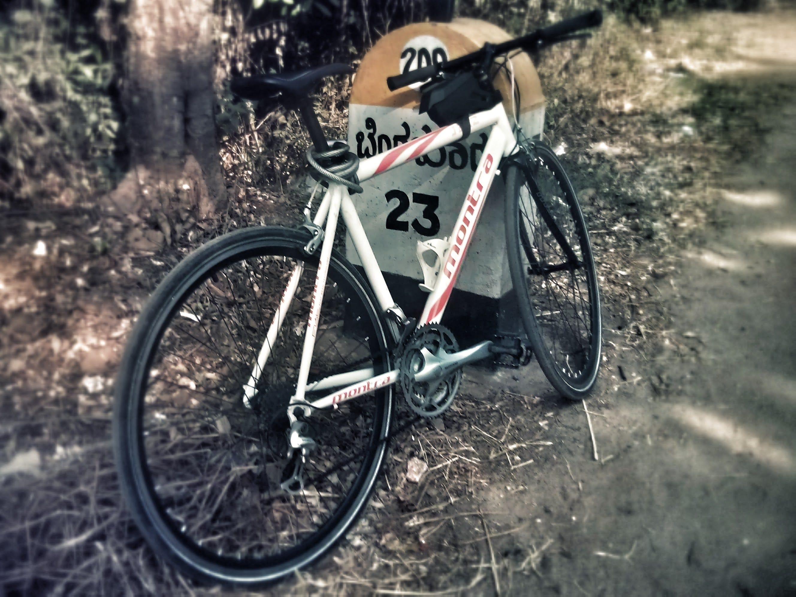 montra single speed bicycle