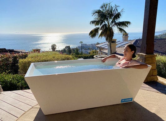 the plunge is the best way to take an ice bath
