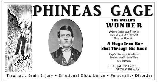phineas gage book summary