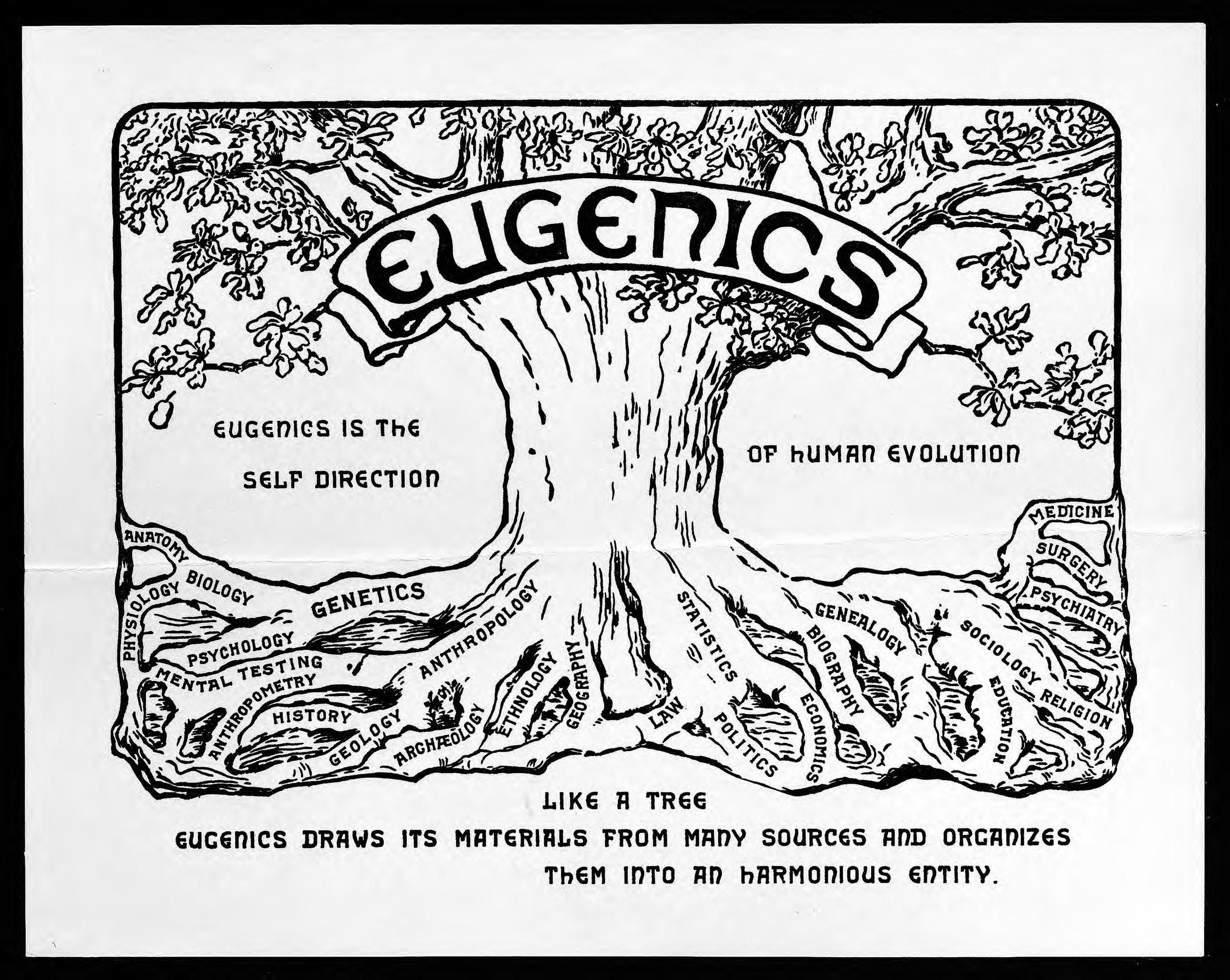 How The Supreme Court Allowed Forced Sterilization Of Women - 