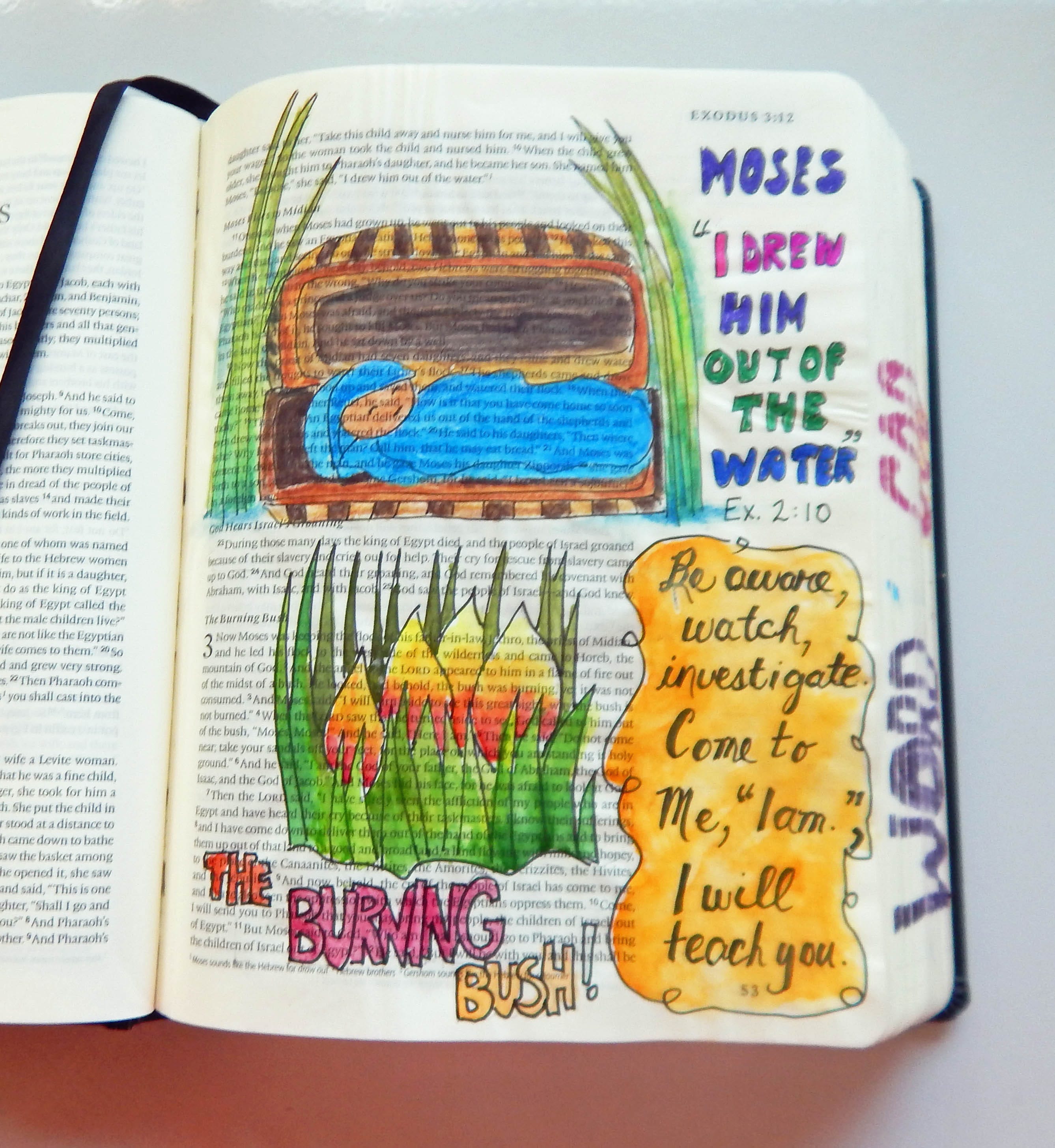 Want To Join Me In Reading Through The Bible By Janis Cox Koinonia want-to-join-me-in-reading-through-the-bible-by-janis-cox-koinonia
