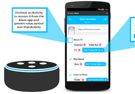 trying to set up alexa
