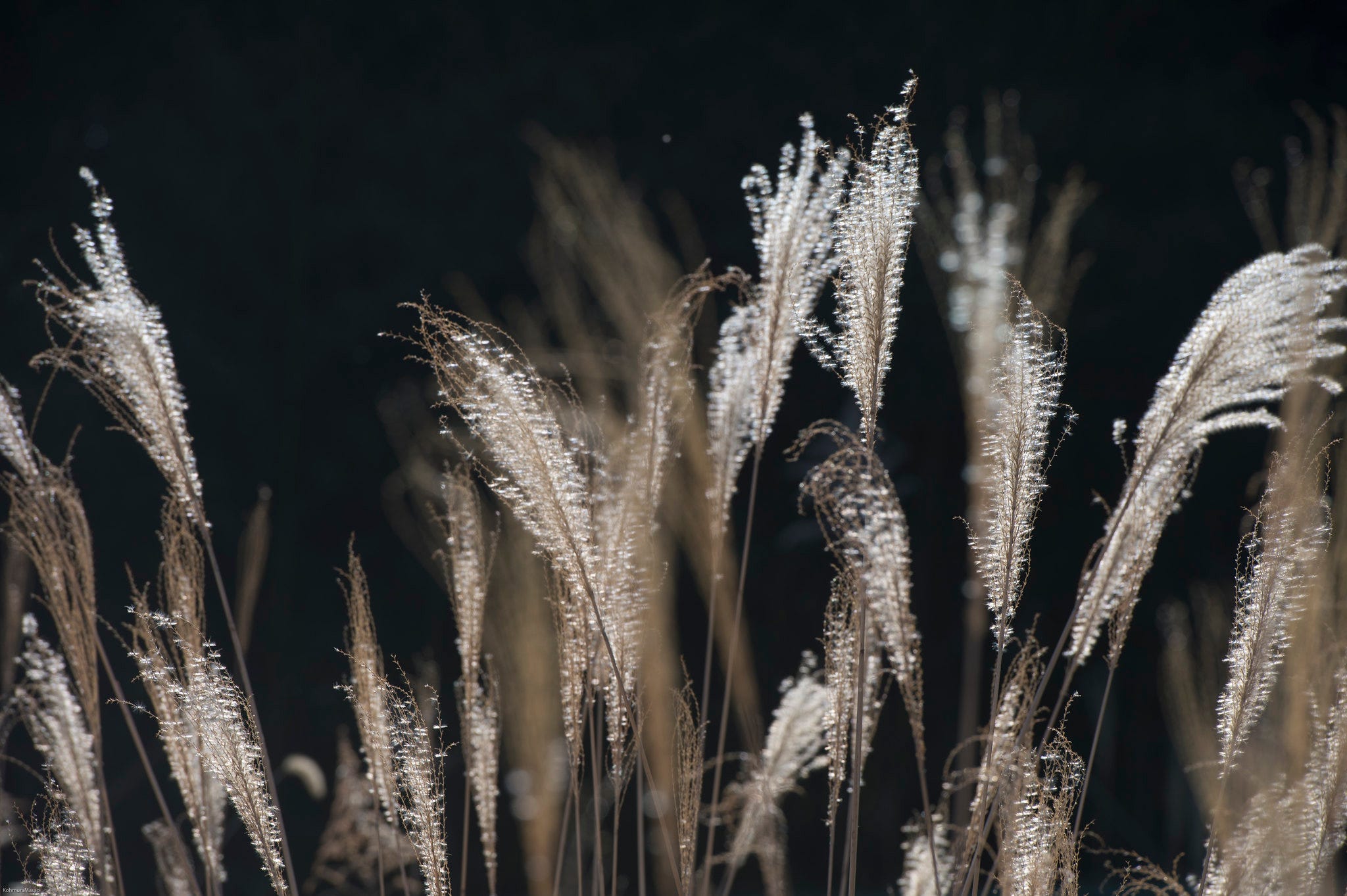 夏至的關燈活動宣揚愛護地球 晚上更可體驗動人的百萬燭光之夜 炎夏的七月雖然大汗淋漓 但遍地開花的祭典和節日卻成為日本最熱鬧的季節 率先為大家 By 是日太郎