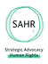 Strategic Advocacy for Human Rights